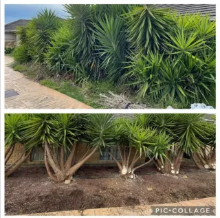 Jardinero económico