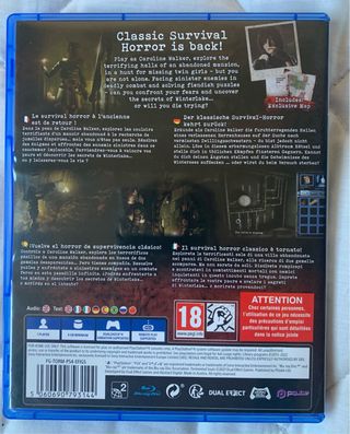 Tormented Souls PS4 (PlayStation 4)
