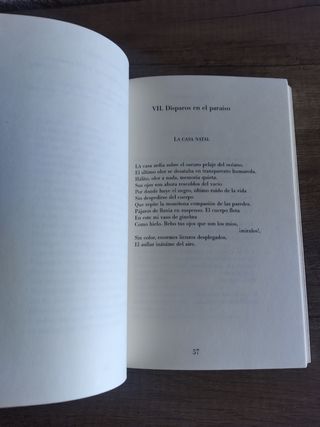 El Amor lejano poesía reunida (1975-2005)