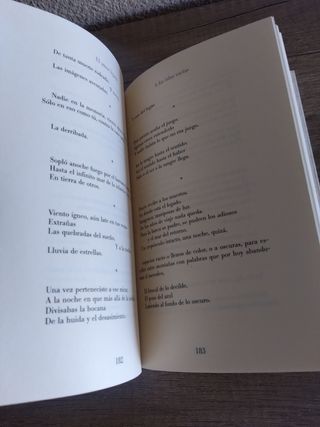 El Amor lejano poesía reunida (1975-2005)