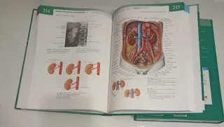 Sobotta Atlas de anatomia humana