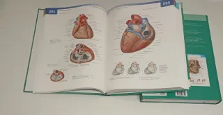 Sobotta Atlas de anatomia humana