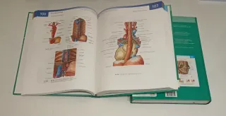 Sobotta Atlas de anatomia humana