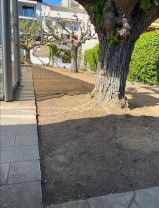 Servicio de jardinería y césped artificial