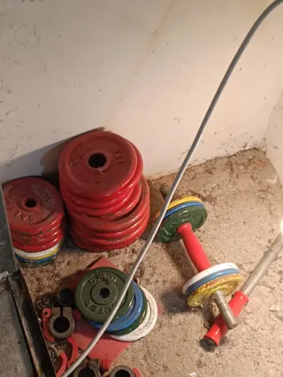 Discos y mancuernas de gimnasio