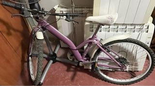 Bicicleta infantil morada.