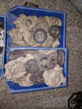 Lote piñones bicicleta antigua