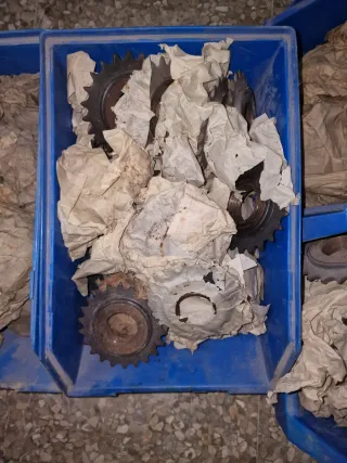 Lote piñones bicicleta antigua