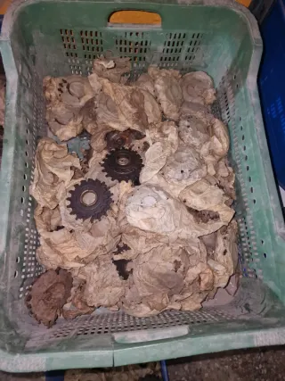 Lote piñones bicicleta antigua