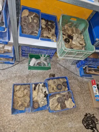 Lote piñones bicicleta antigua