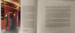 Libro La Zaragoza Contemporánea
