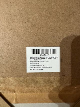 Cuadro Hojas Ginkgo Biloba MR DIY