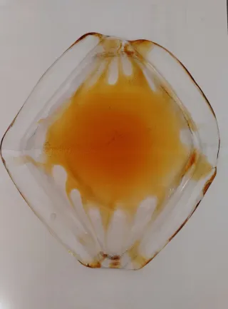 Centrotavola Vetro Murano Arancio Trasparente