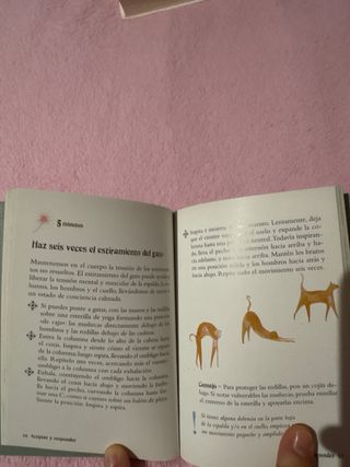 El pequeño libro del Mindfulness: 10 minutos al...