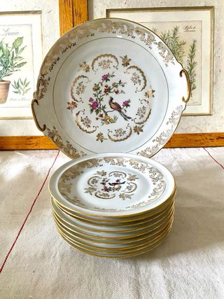 Set platos Ave del Paraíso – 9 platos + P. Grande