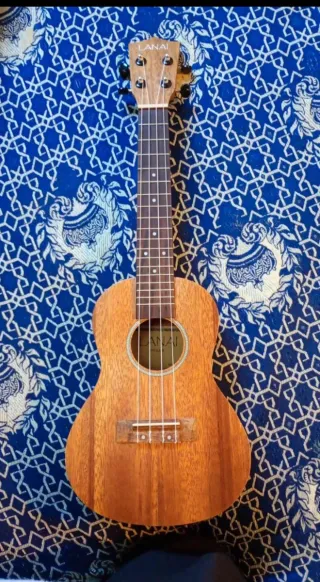 Ukelele Lanai con funda