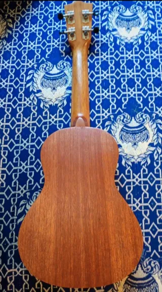 Ukelele Lanai con funda