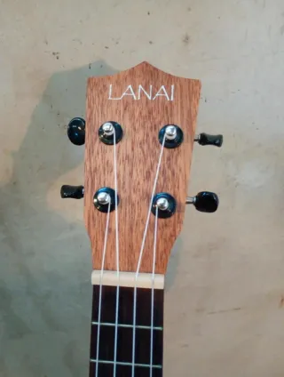 Ukelele Lanai con funda