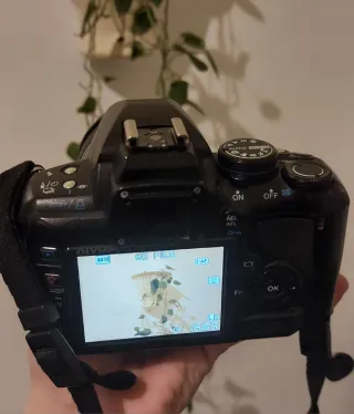 Cámara Olympus E-420 + 2 objetivos