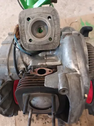 marca agria de dos tiemposde gasolina