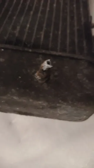 Radiador TMAX 500 08-11