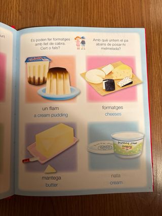 (CAT).CATALA-ANGLES.(DICCIONARI PER IMATGES)