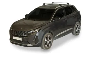 Baca coche Peugeot 3008