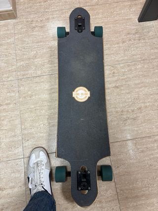 Longboard Long Island con diseño de ave