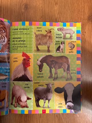 Mi primer diccionario visual eng español