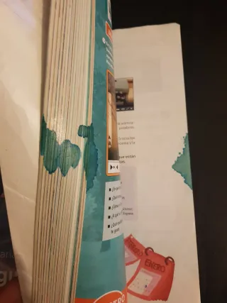 Lengua Castellana y Literatura. 1 Secundaria. R...