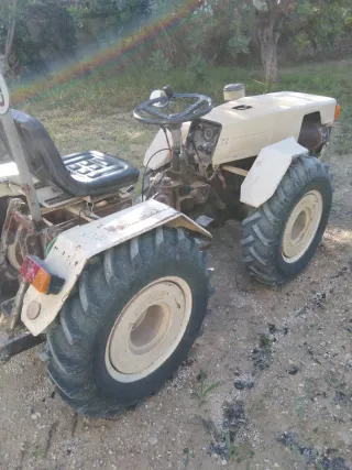 Tractor Pascuali 25cv Dirección Hidráulica 1983