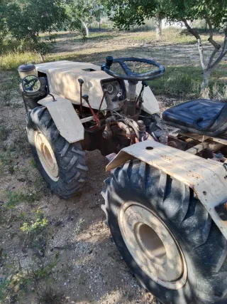 Tractor Pascuali 25cv Dirección Hidráulica 1983