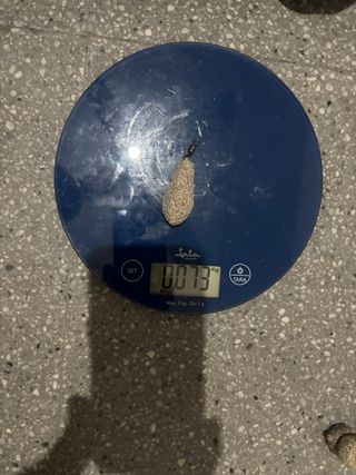 9 Plomos pesca de Carpfishing varios pesos.