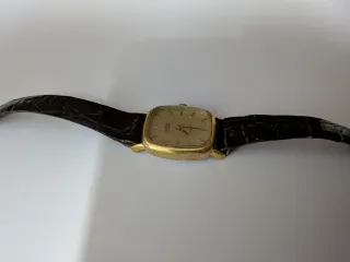 Orologio ASTOR 17 Rubis Antimagnetic meccanico vin