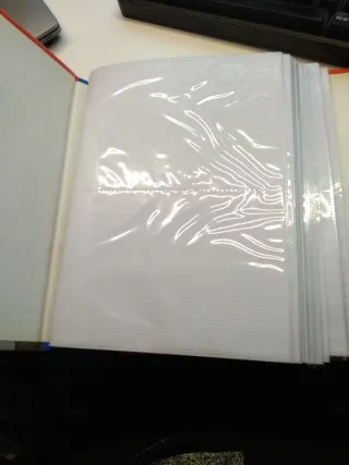 Álbum de fotos Los Simpsons