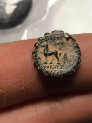 Moneda Griega Seleucida Antiochos IV