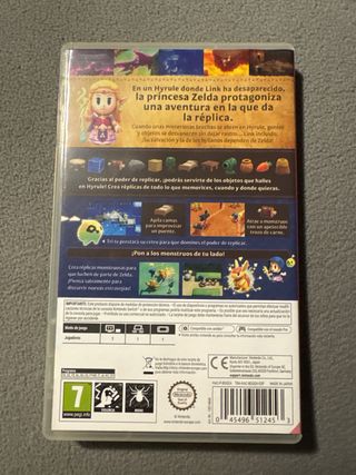 The Legend of Zelda: Echoes of Wisdom Switch