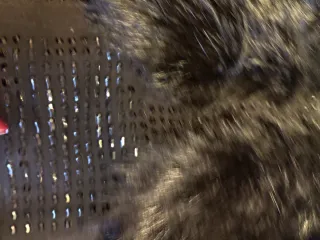 Chaleco pelo Teria Yabar Talla S