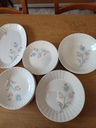 Preciosa vajilla vintage completa