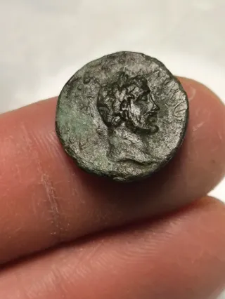 Moneda Romana Cilicia Flaviopolis Antonino Pio