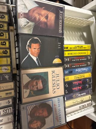 Lote Casetes Julio Iglesias y otros