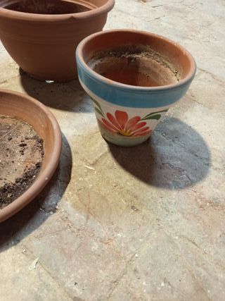 SE REGALAN Macetas y base de terracota y plástico