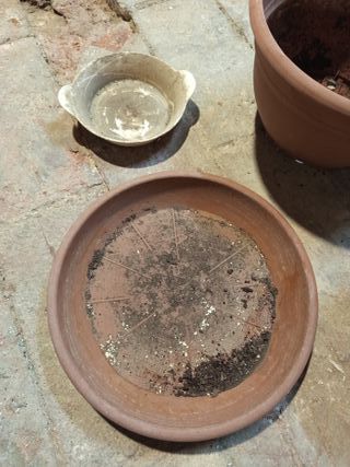 SE REGALAN Macetas y base de terracota y plástico