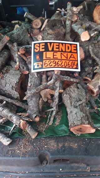 Leña de encina, almendro, naranjo y algarrobo