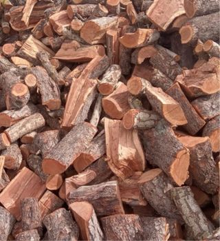 Leña de encina, almendro, naranjo y algarrobo