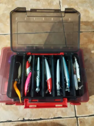 Combo Spinning Eging