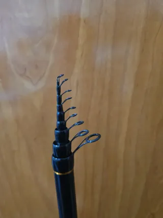 Caña de pesca boloñesa