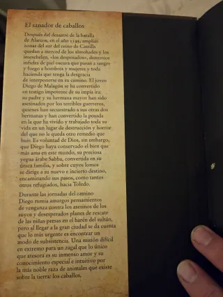 El sanador de caballos