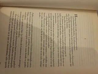 El sanador de caballos