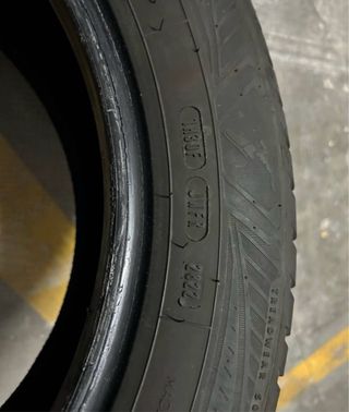 Pareja Neumáticos Goodyear 4 Seasons